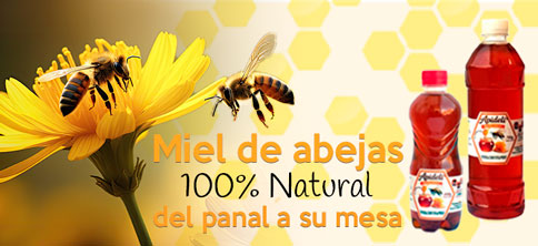 Miel de abejas 100% natural